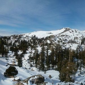 Meet your Posher, Xochitl